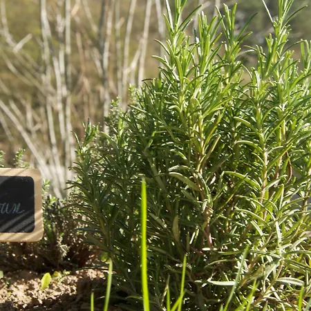 La Claire Fontaine, Logis & ホテル 4*