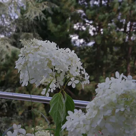 La Claire Fontaine, Logis & 4*