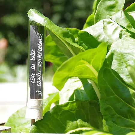 La Claire Fontaine, Logis &