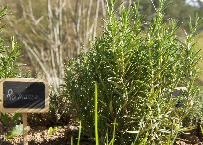 La Claire Fontaine, Logis & Otel 4*