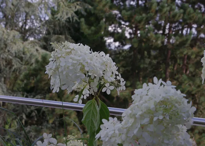 La Claire Fontaine, Logis & 4*