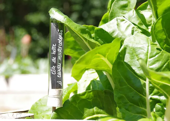 La Claire Fontaine, Logis &